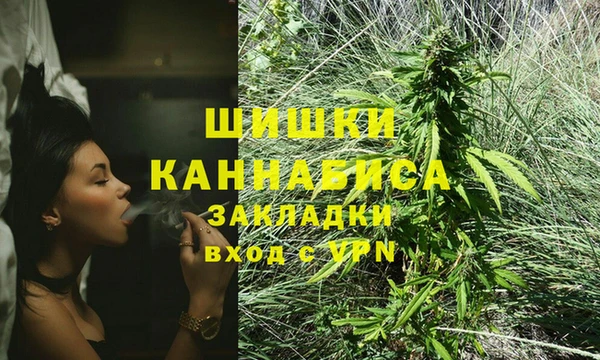 шишки Алзамай