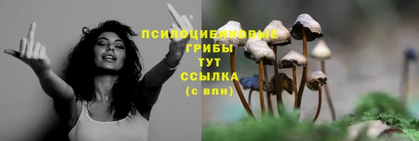 а пвп мука Алексеевка