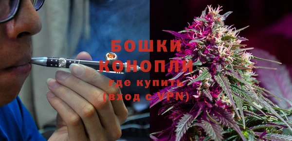 шишки Алзамай