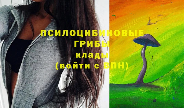 а пвп мука Алексеевка