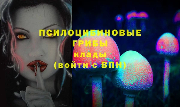 шишки Алзамай